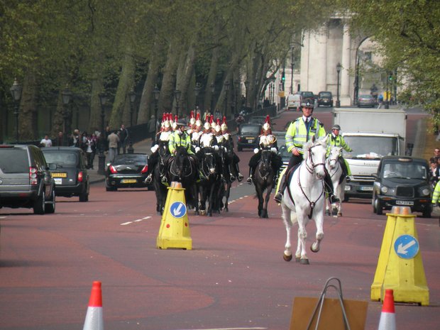  cavaliers, Saint-James's park